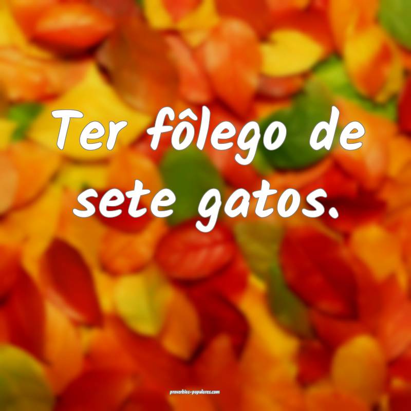 Ter fôlego de sete gatos.
 ...