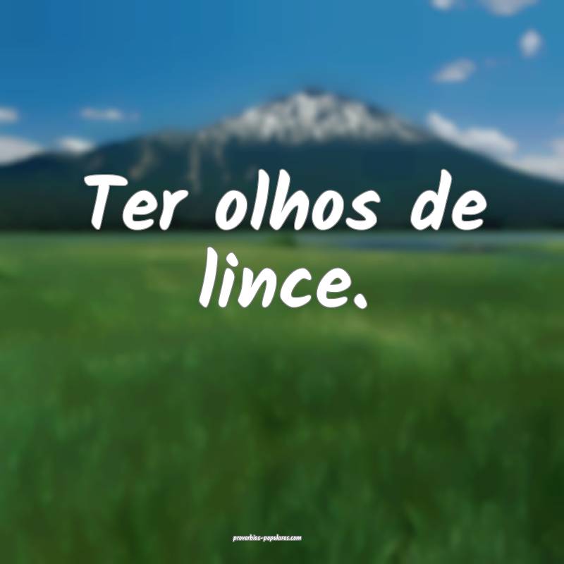 Ter olhos de lince.
 ...