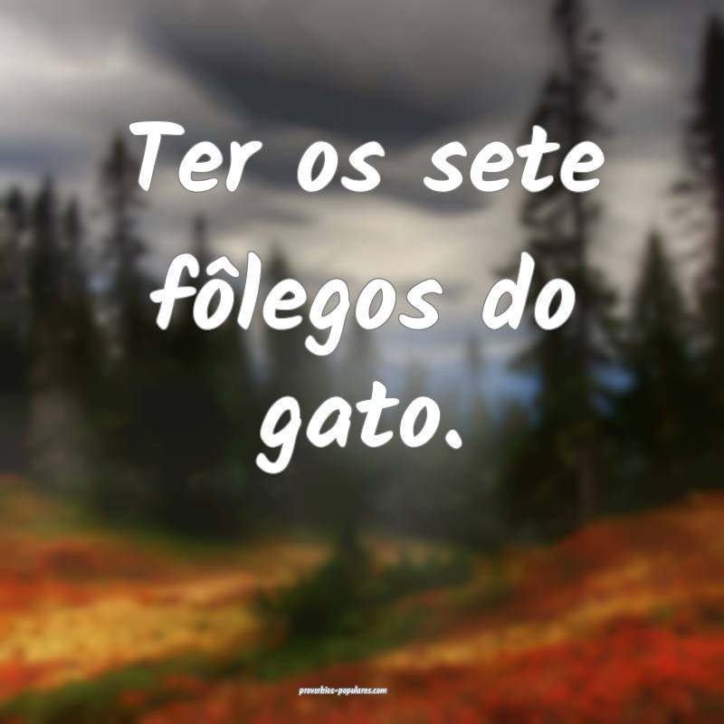 Ter os sete fôlegos do gato.
 ...