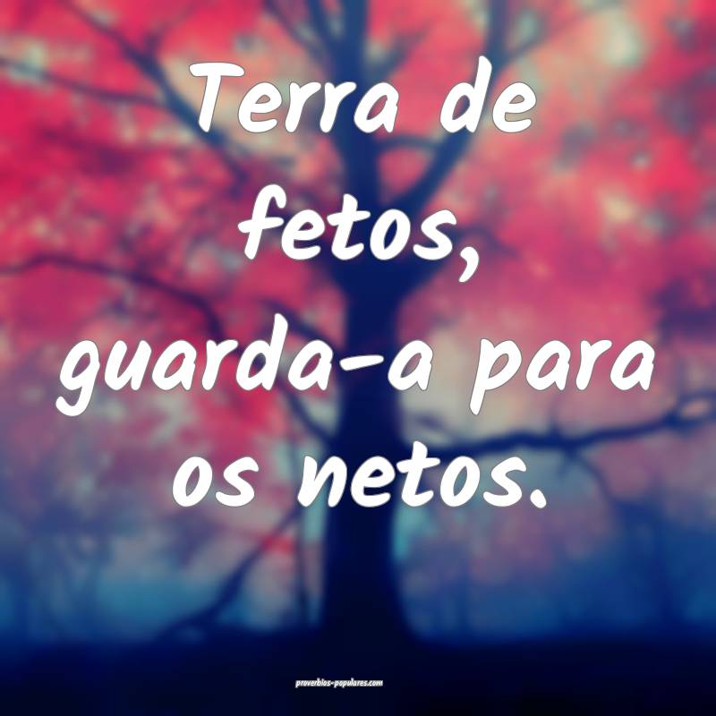 Terra de fetos, guarda-a para os netos.
...