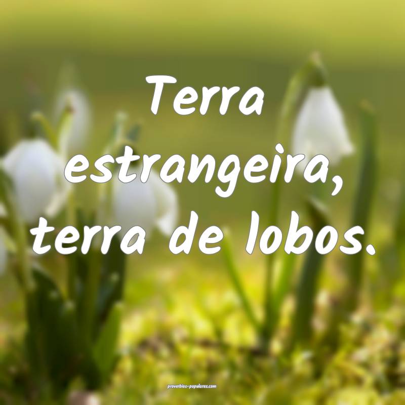 Terra estrangeira, terra de lobos.
...