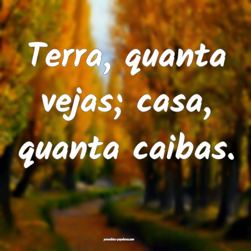 Terra, quanta vejas; casa, quanta caibas.
...