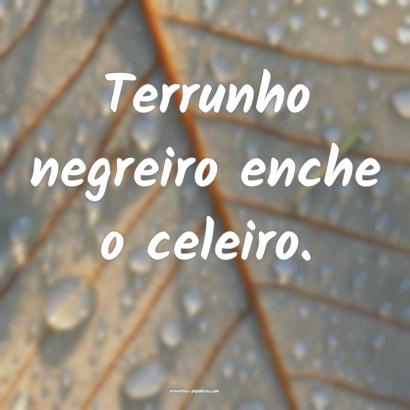 Terrunho negreiro enche o celeiro.
...