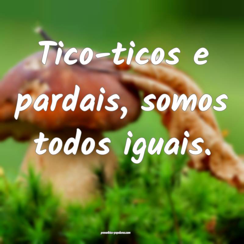 Tico-ticos e pardais, somos todos iguais.
...
