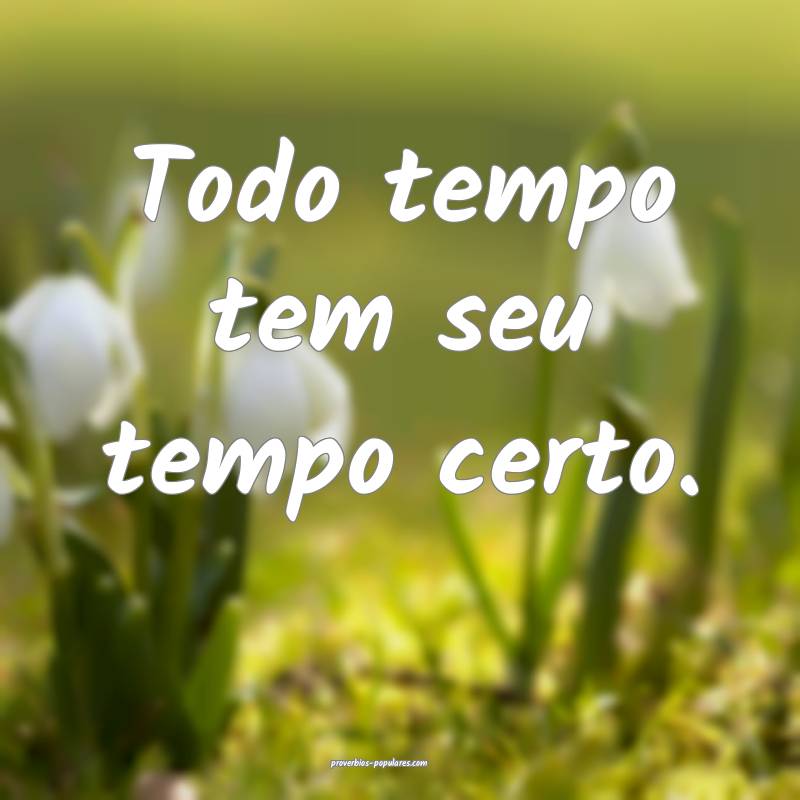 Todo tempo tem seu tempo certo.
 ...