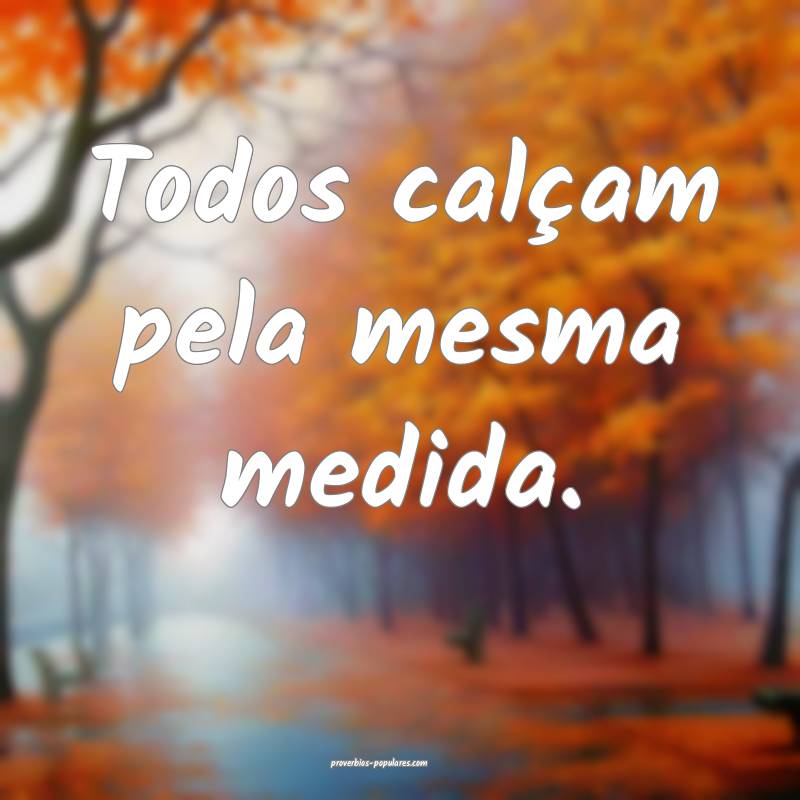 Todos calçam pela mesma medida.
 ...