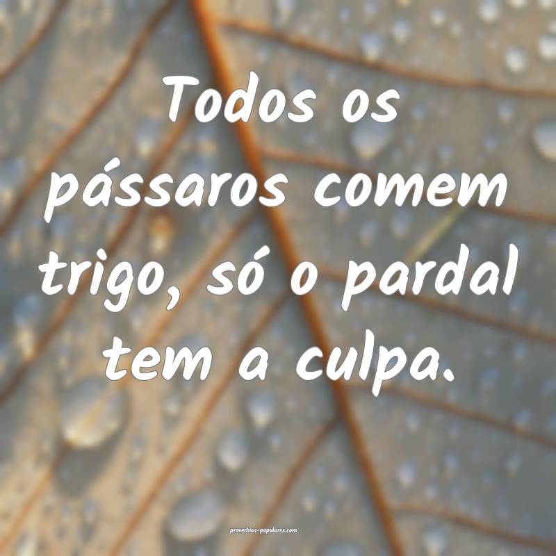 Todos os pássaros comem trigo, só o pardal tem a culpa.
...