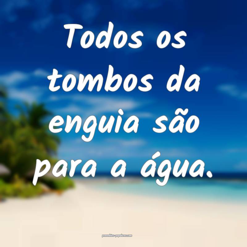 Todos os tombos da enguia são para a água.
...