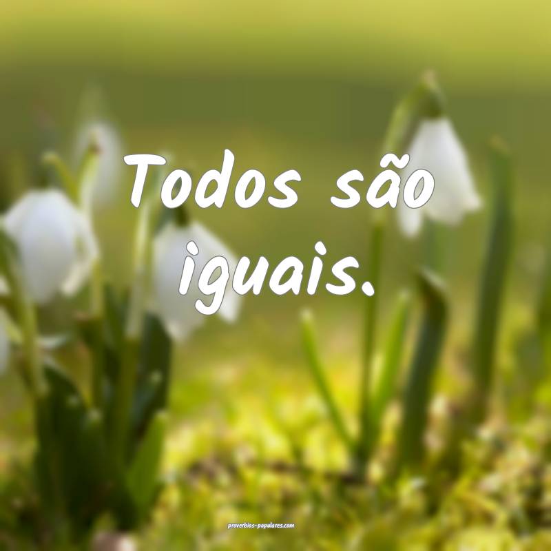 Todos são iguais.
...