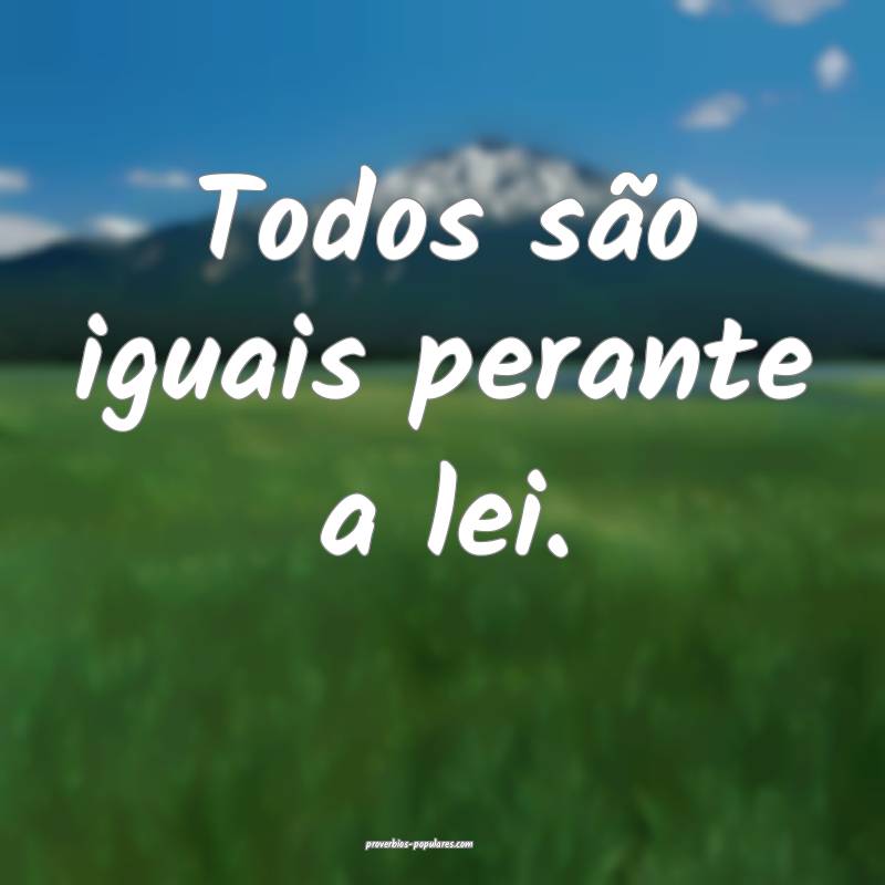 Todos são iguais perante a lei.
...