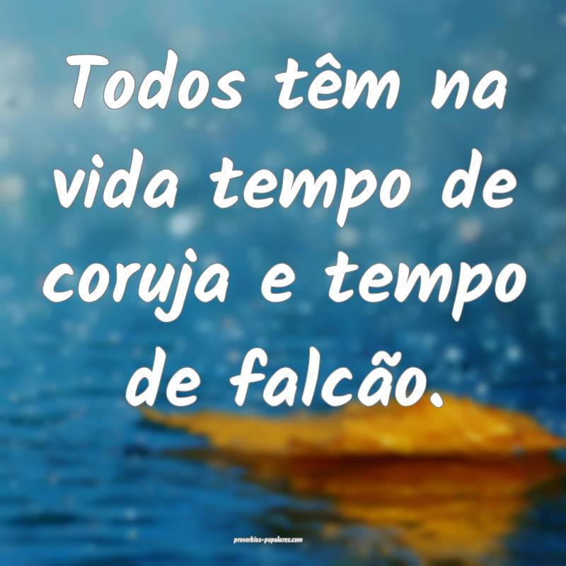 Todos têm na vida tempo de coruja e tempo de falcão.
...