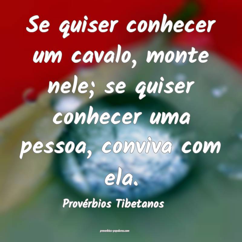 Se quiser conhecer um cavalo, monte nele; se quiser conhecer uma pesso...