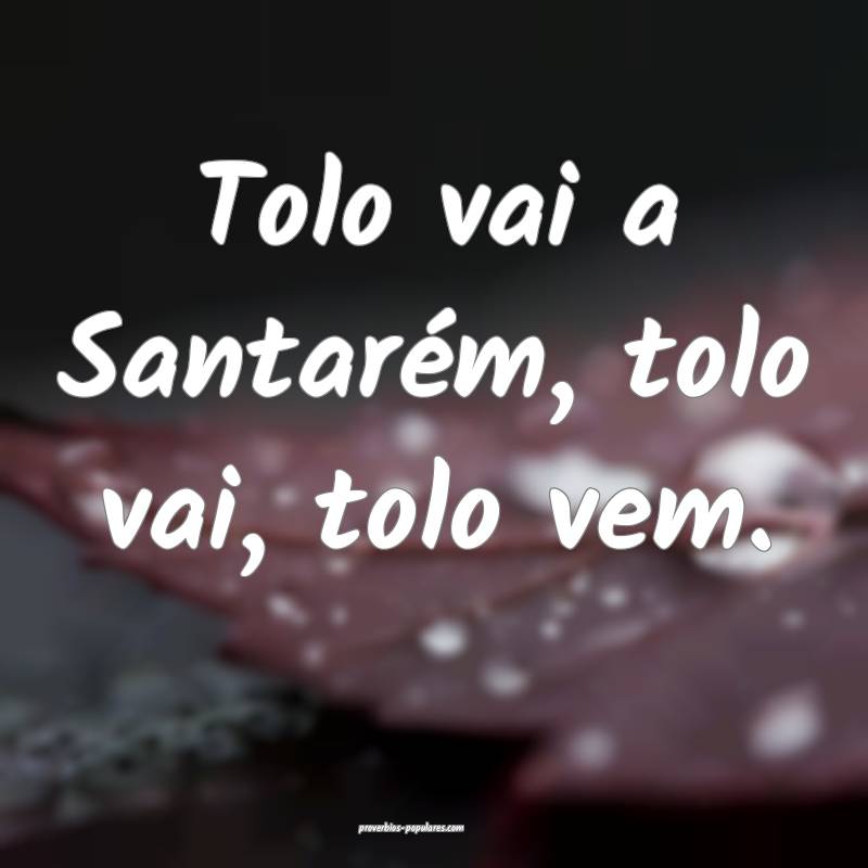 Tolo vai a Santarém, tolo vai, tolo vem.
 ...