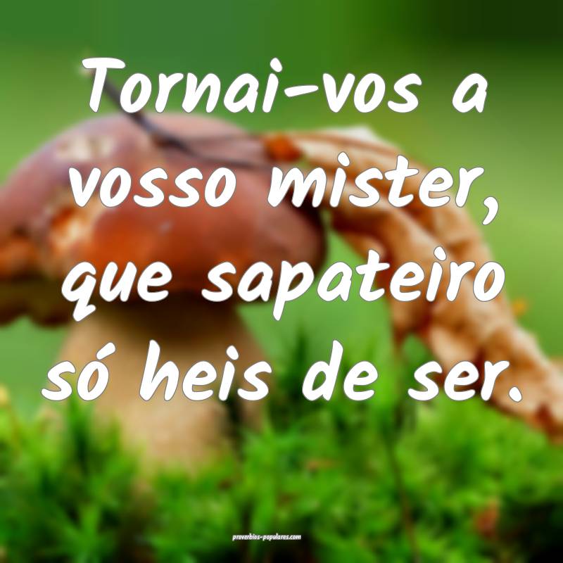 Tornai-vos a vosso mister, que sapateiro só heis de ser.
...