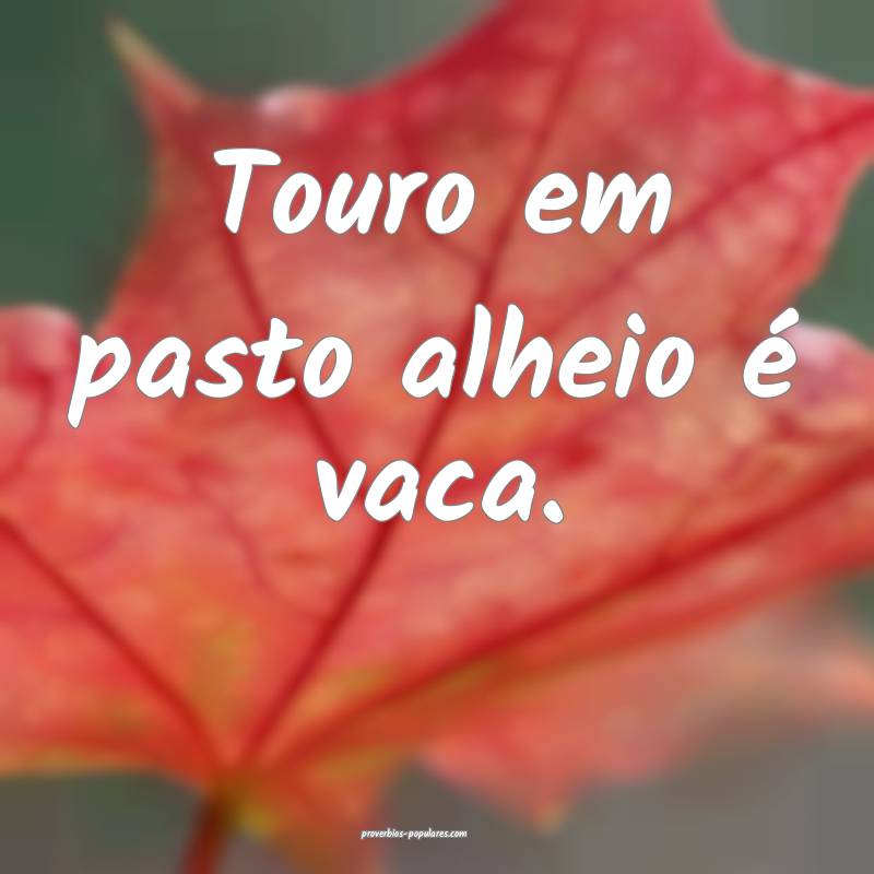 Touro em pasto alheio é vaca.
 ...