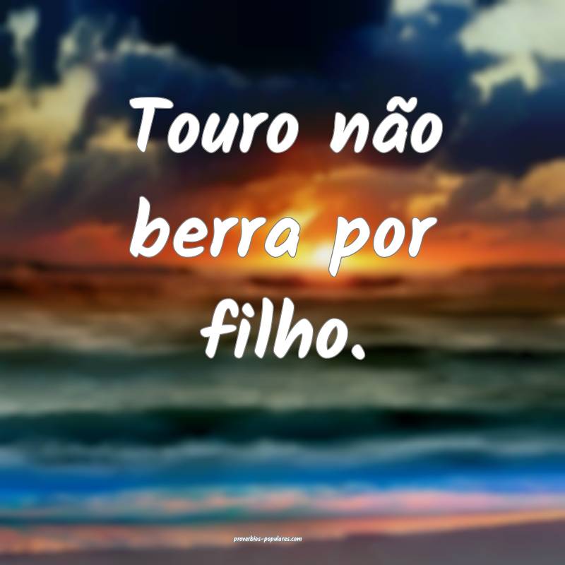 Touro não berra por filho.
 ...