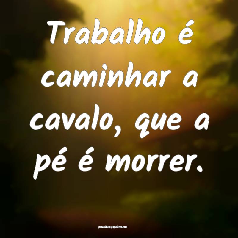 Trabalho é caminhar a cavalo, que a pé é morrer.
...