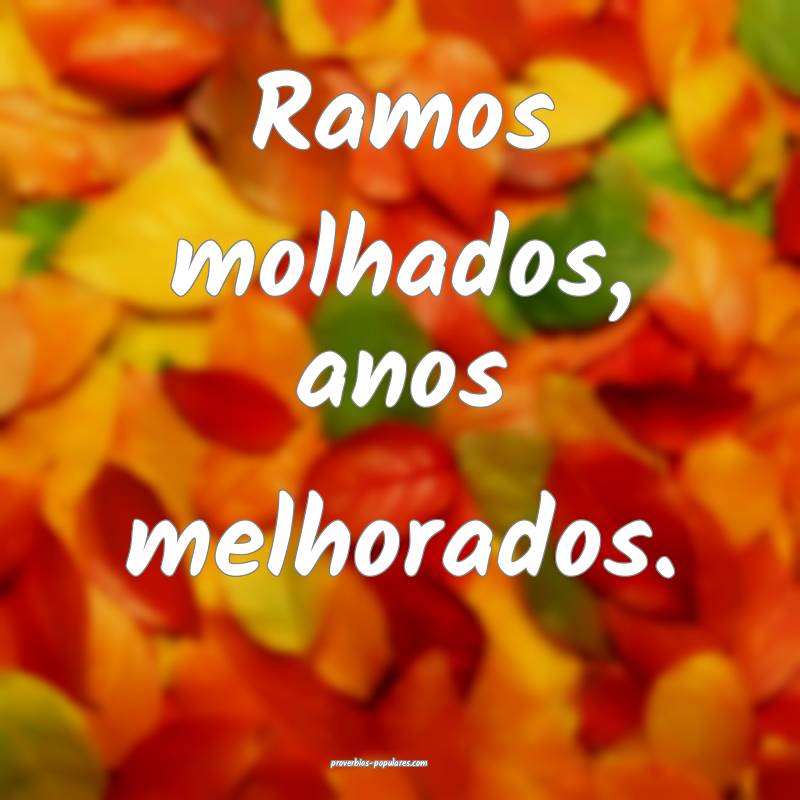 Ramos molhados, anos melhorados.
 ...