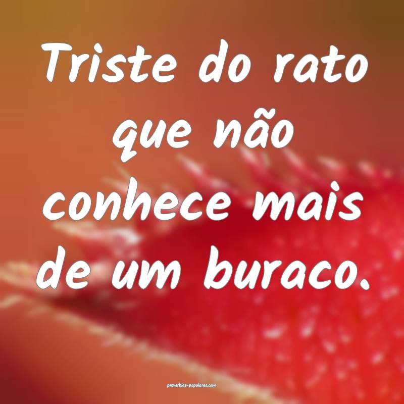 Triste do rato que não conhece mais de um buraco.
...