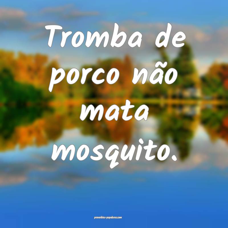 Tromba de porco não mata mosquito.
...