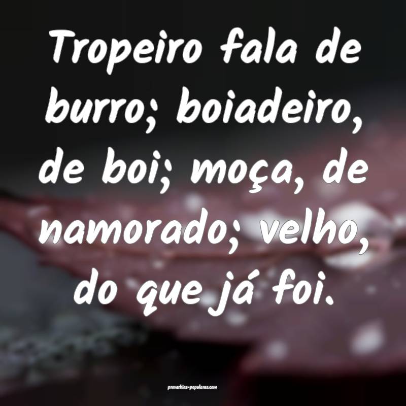 Tropeiro fala de burro; boiadeiro, de boi; moça, de namorado; velho, ...