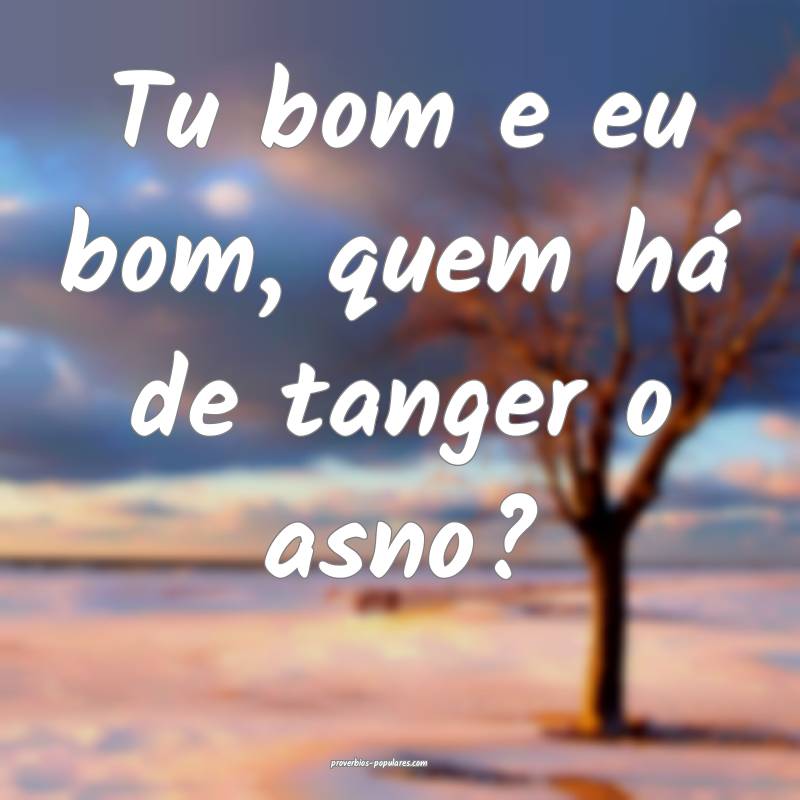 Tu bom e eu bom, quem há de tanger o asno?
...