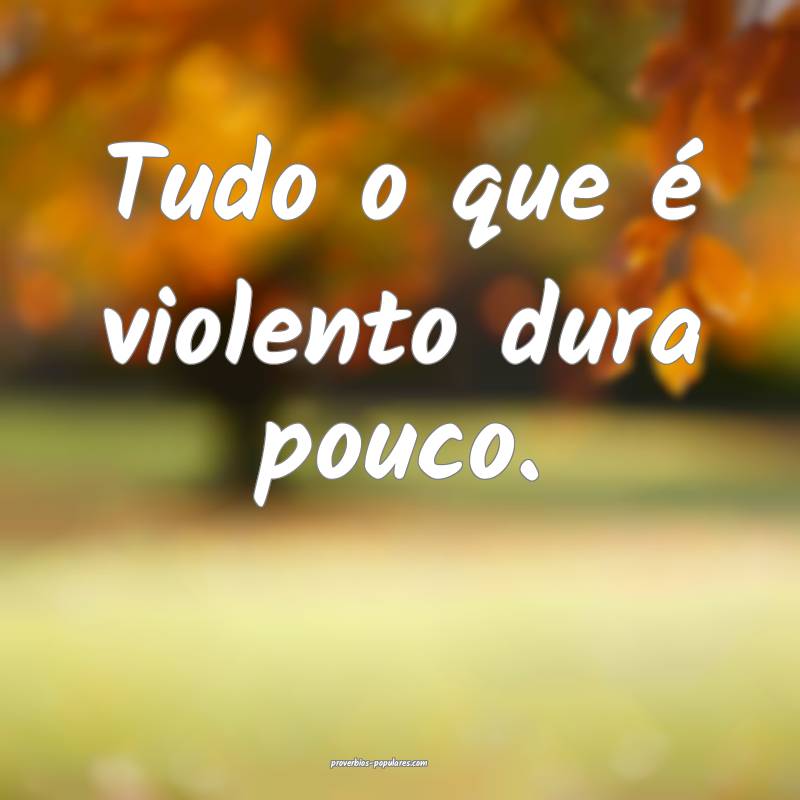 Tudo o que é violento dura pouco.
...