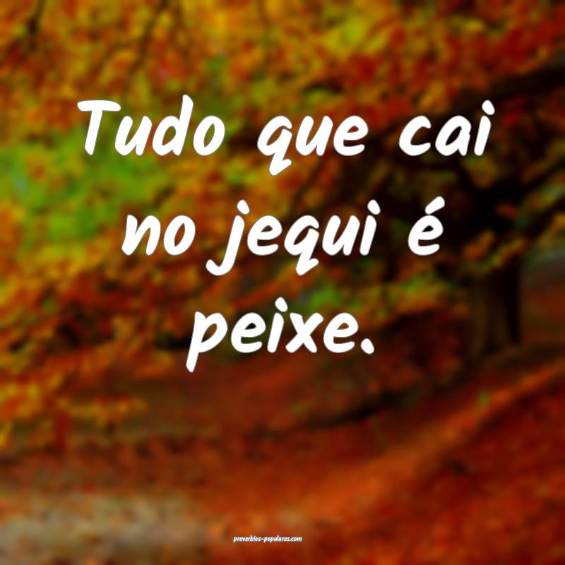 Tudo que cai no jequi é peixe.
...