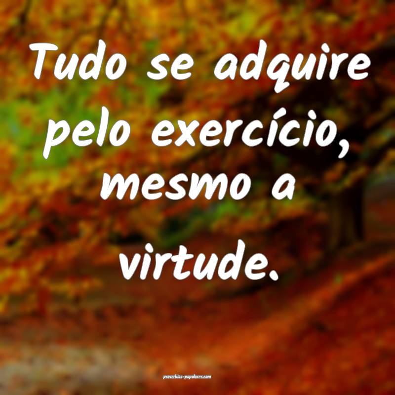 Tudo se adquire pelo exercício, mesmo a virtude.
...