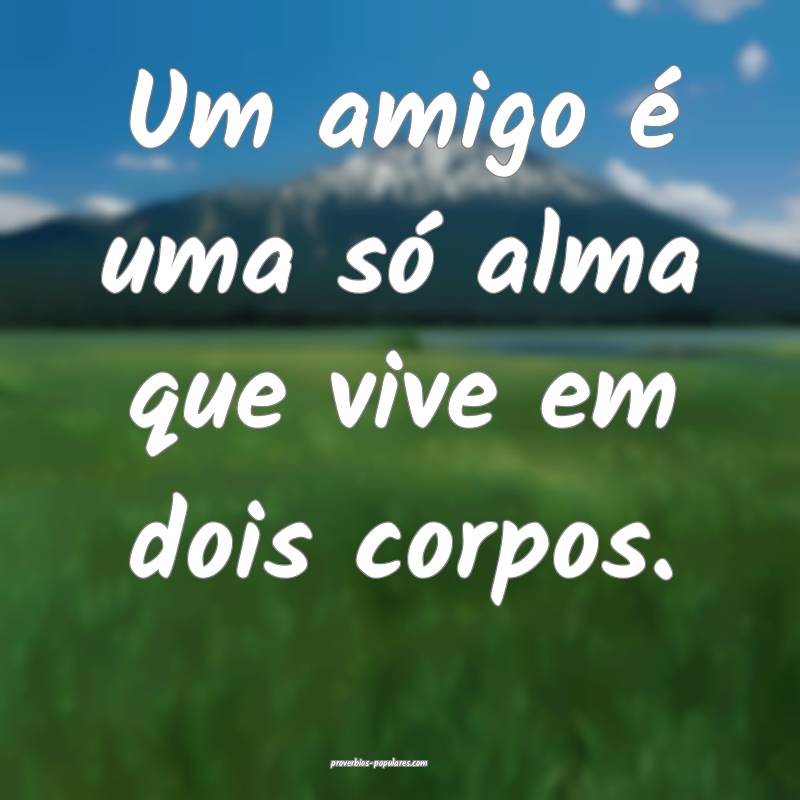 Um amigo é uma só alma que vive em dois corpos.
 ...