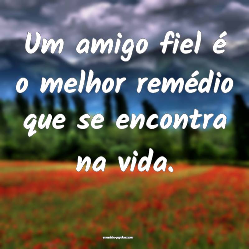 Um amigo fiel é o melhor remédio que se encontra na vida.
...
