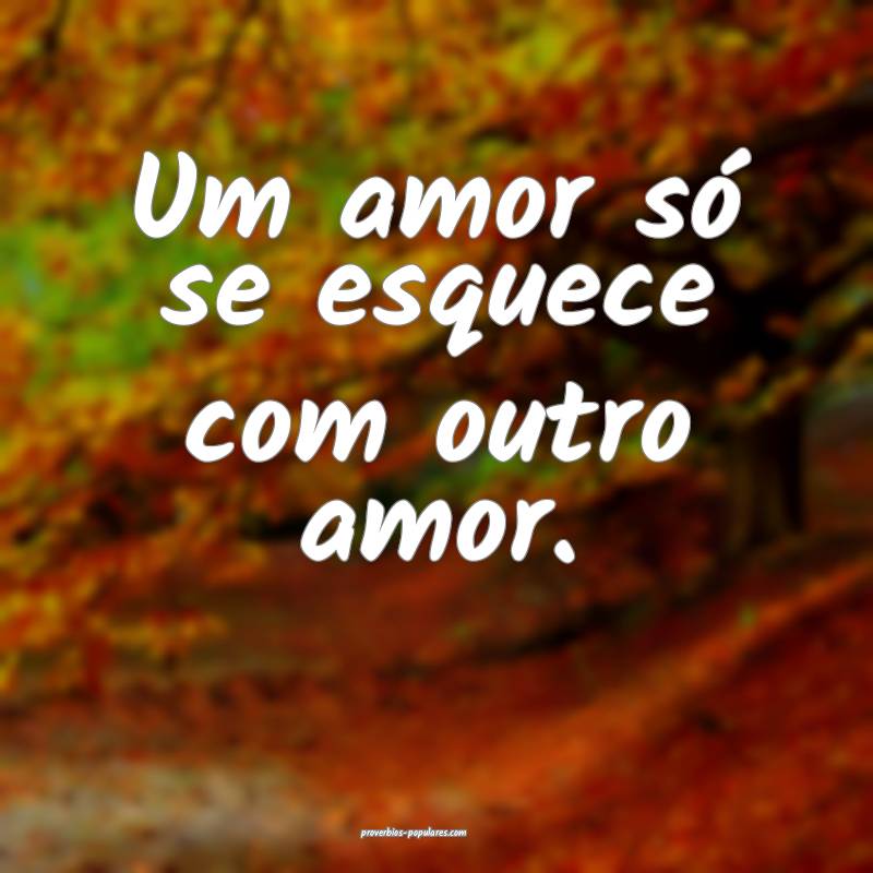 Um amor só se esquece com outro amor.
...