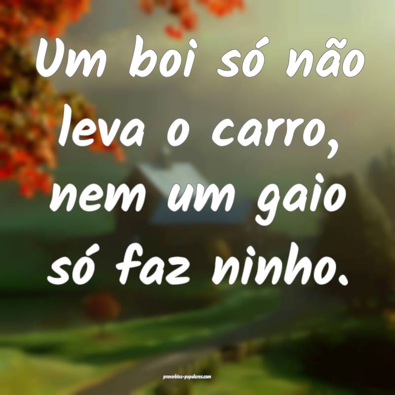 Um boi só não leva o carro, nem um gaio só faz  ...