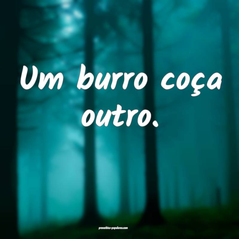 Um burro coça outro.
 ...