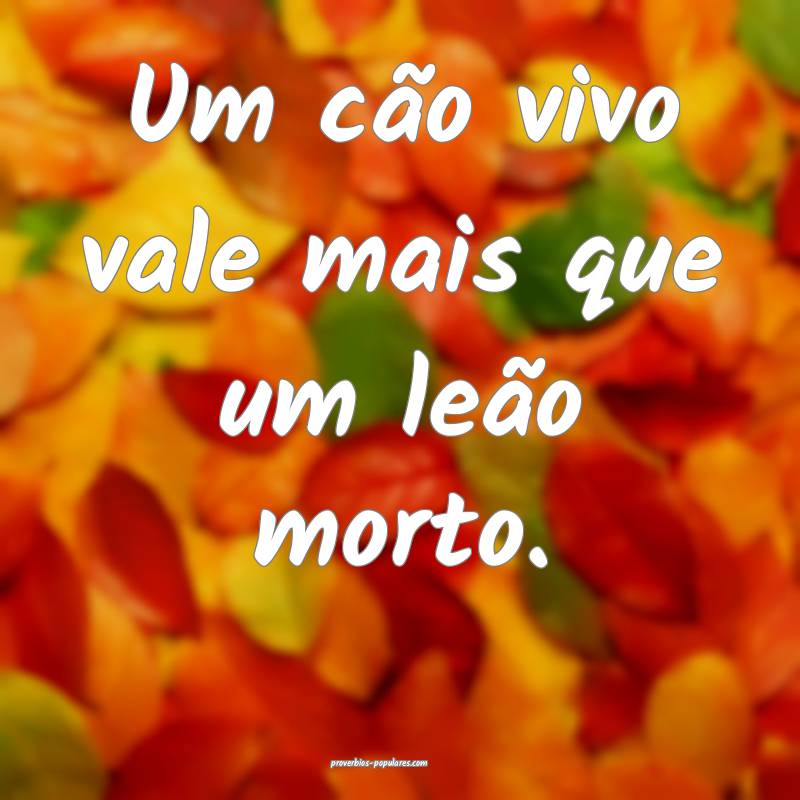 Um cão vivo vale mais que um leão morto.
...