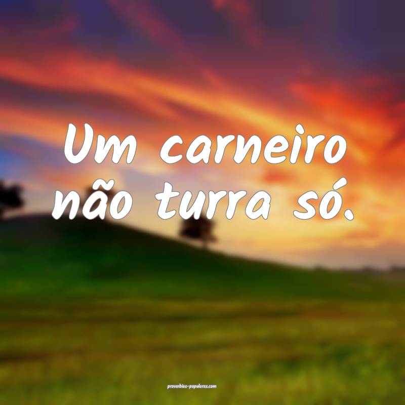 Um carneiro não turra só.
...