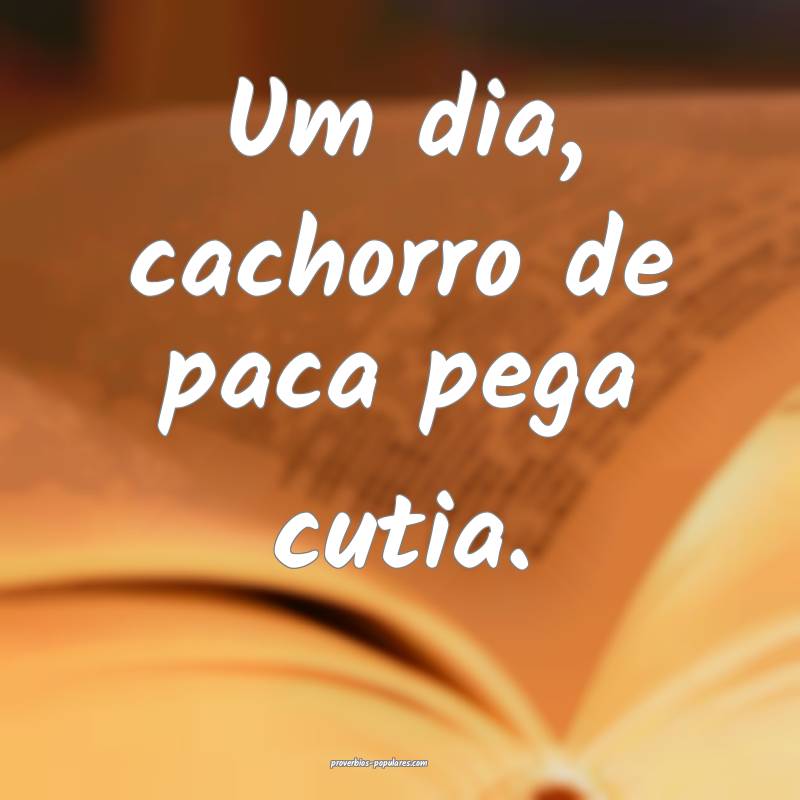 Um dia, cachorro de paca pega cutia.
...