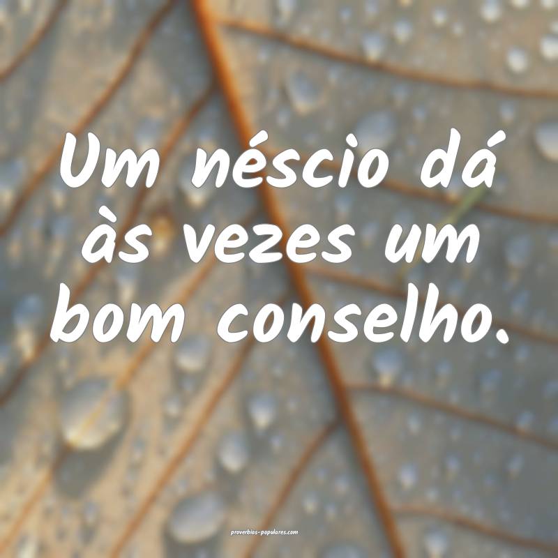 Um néscio dá às vezes um bom conselho.
...