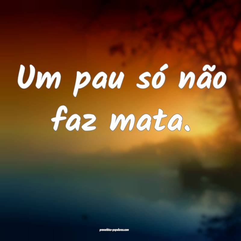 Um pau só não faz mata.
...