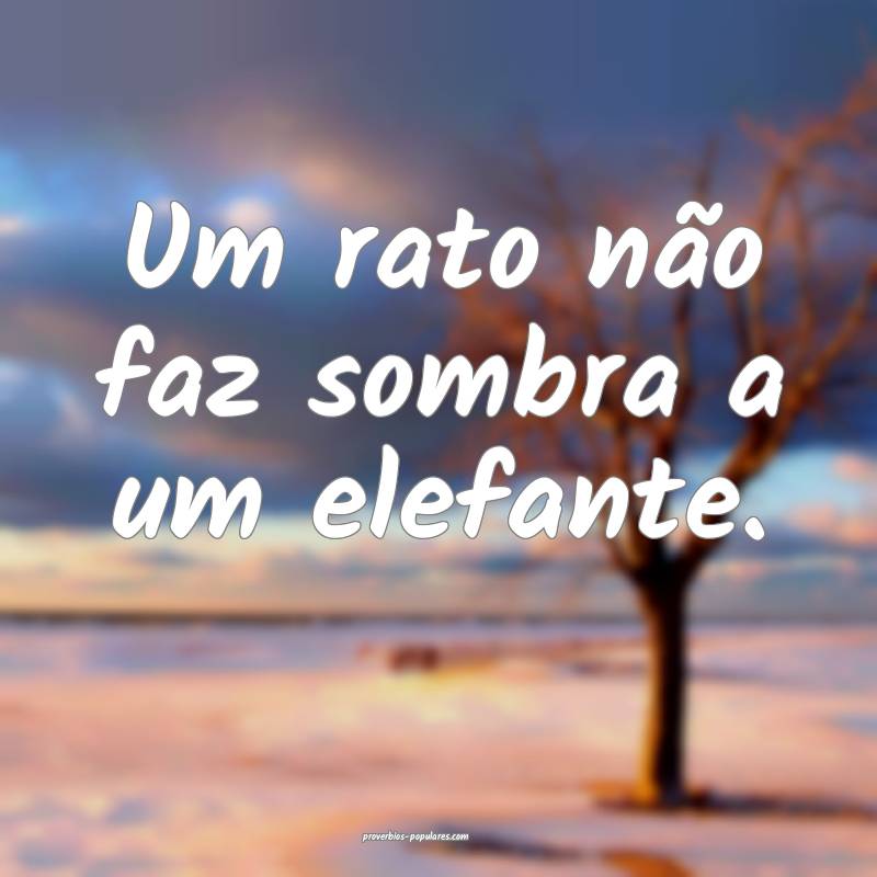 Um rato não faz sombra a um elefante.
...