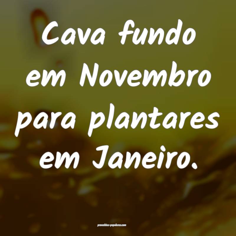 Cava fundo em Novembro para plantares em Janeiro.
...