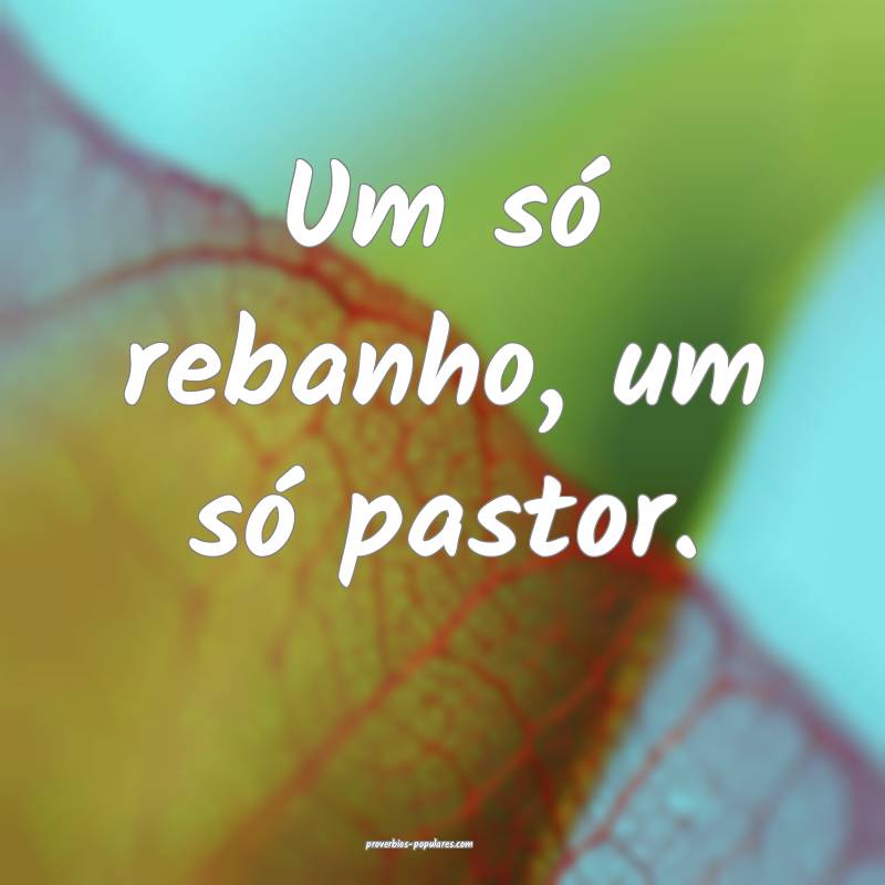 Um só rebanho, um só pastor.
 ...