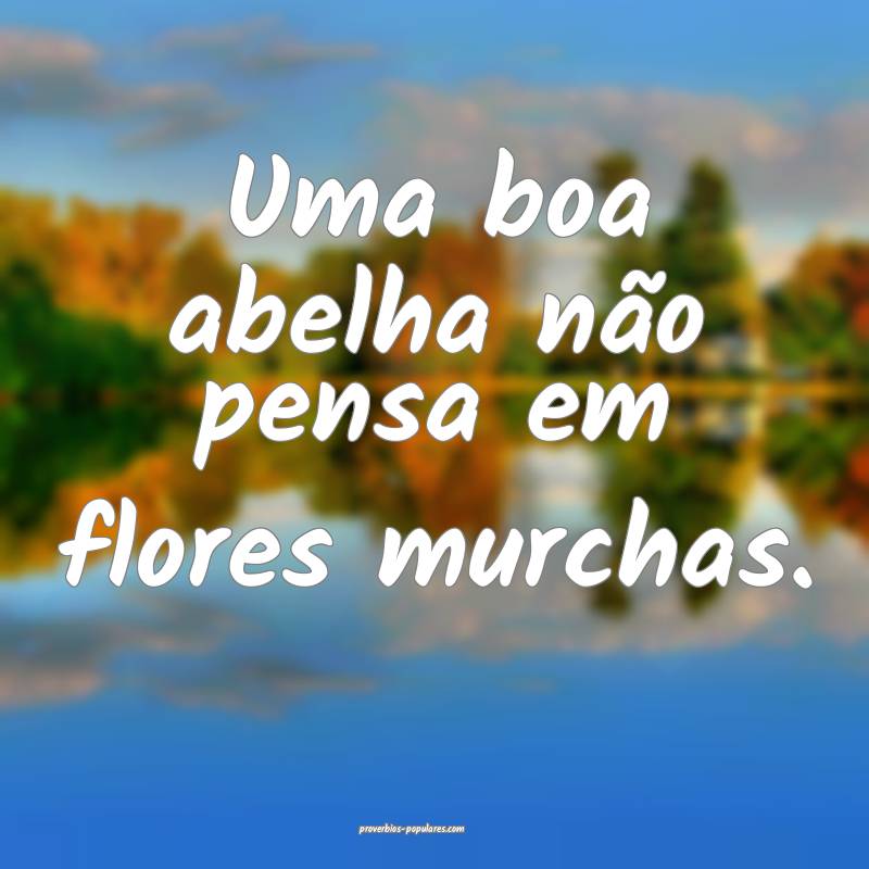 Uma boa abelha não pensa em flores murchas.
 ...