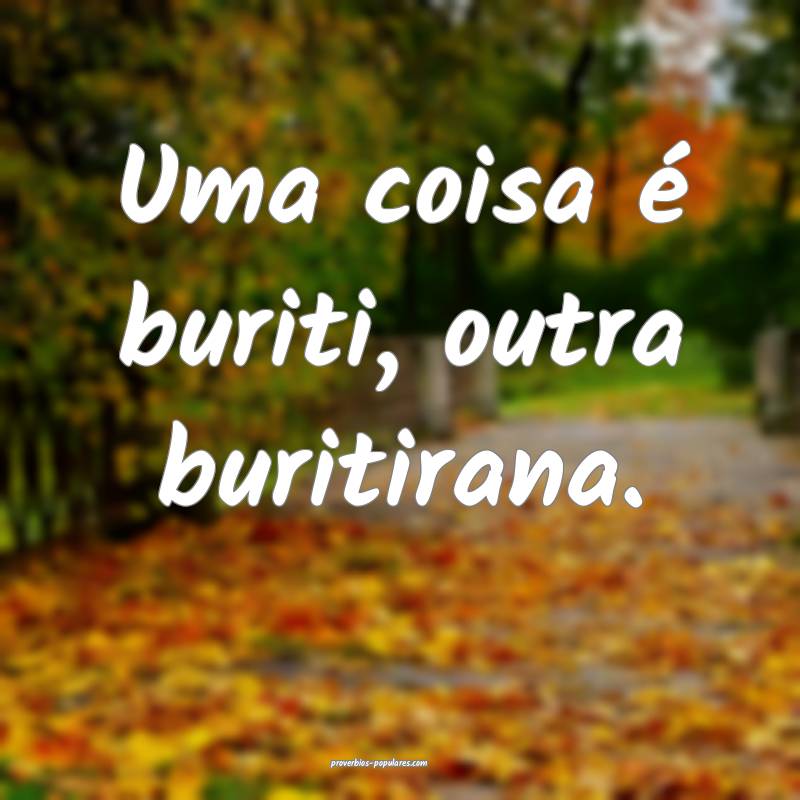 Uma coisa é buriti, outra buritirana.
 ...