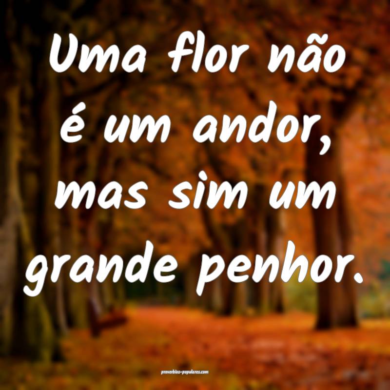 Uma flor não é um andor, mas sim um grande penhor.
...