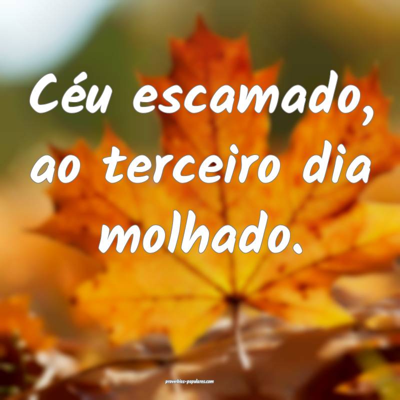 Céu escamado, ao terceiro dia molhado.
...