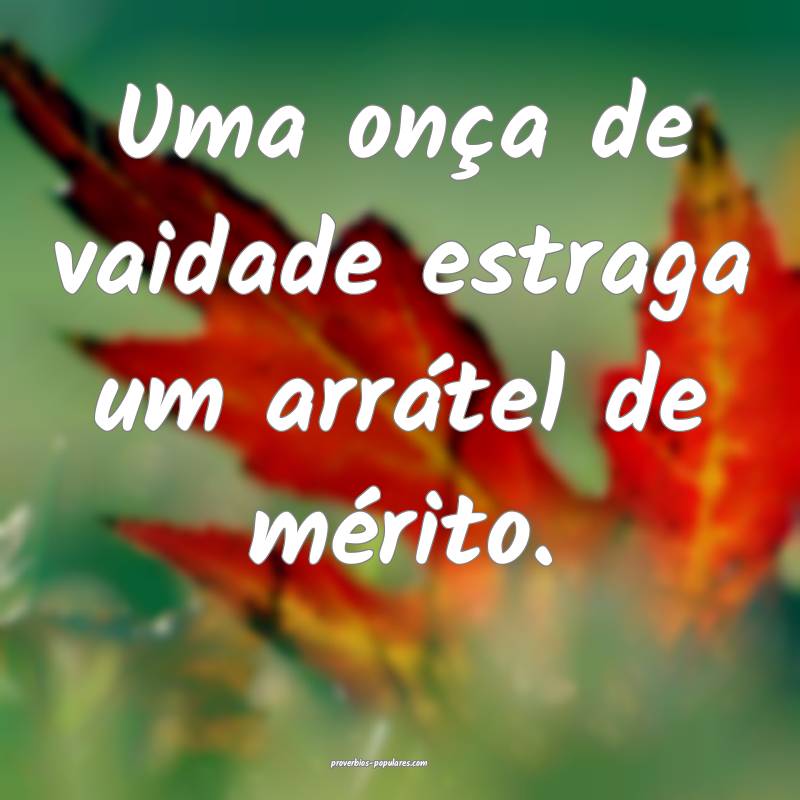 Uma onça de vaidade estraga um arrátel de mérito.
...