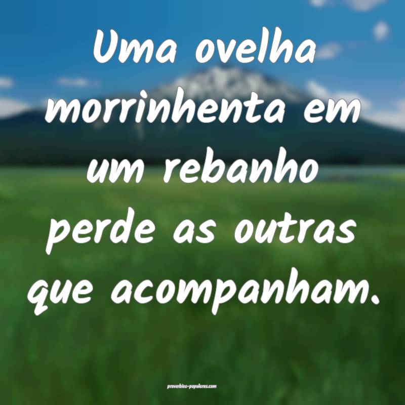 Uma ovelha morrinhenta em um rebanho perde as outr ...