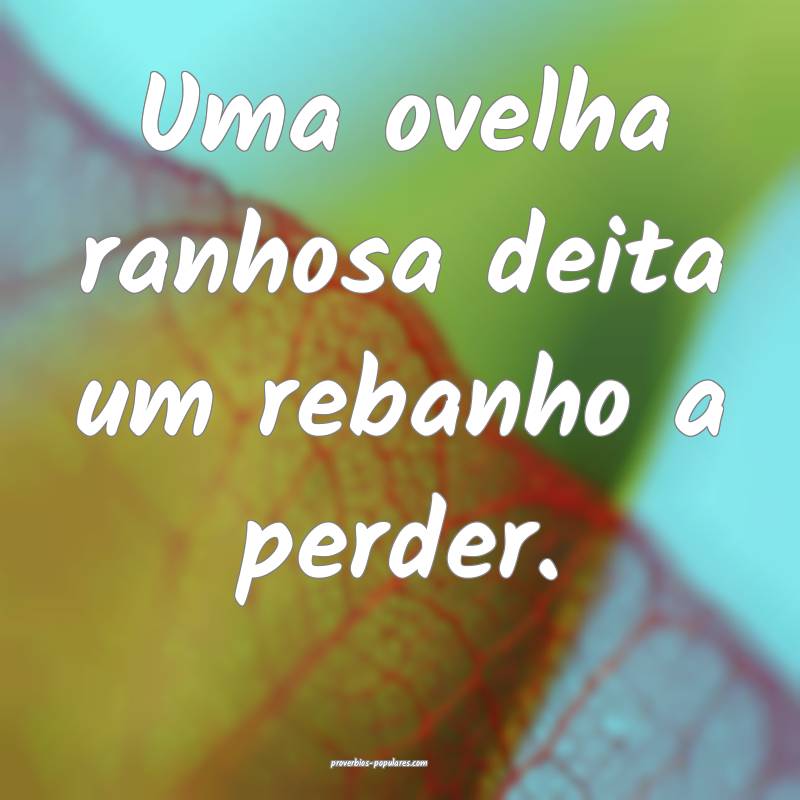 Uma ovelha ranhosa deita um rebanho a perder.
...