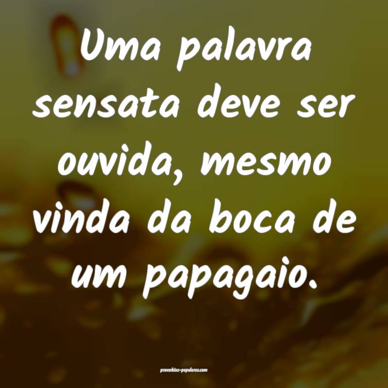 Uma palavra sensata deve ser ouvida, mesmo vinda da boca de um papagai...